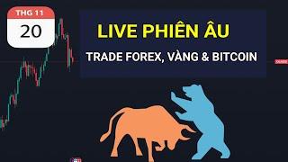 LIVE PHIÊN ÂU - TRADE FOREX, VÀNG & BITCOIN NGÀY 20.11.2024