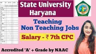 State University Recruitment| Haryana assistant professor vacancy teaching and non Teaching Jobs