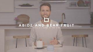 Abide and Bear Fruit