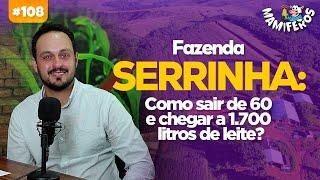 FAZENDA SERRINHA: COMO SAIR DE 60 E CHEGAR A 1700 LITROS DE LEITE?