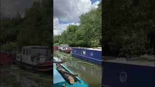 Narrowboat cruise up the River Lea (part 1)  #narrowboat #electricnarrowboat #nature #canal