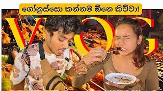 ගෝනුස්සෙක් කන්න ඕනෙමයි කිව්වා| STREET FOOD | Laughing Gas try කෙරුවා️| Eshi and Hella