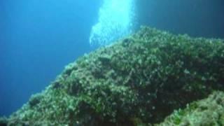 Diving in Halkidiki