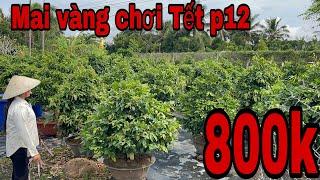 Lh 0945 171 822 gặp chị Thuỷ lô mai tàng thông cực đẹp giá hợp lý quá