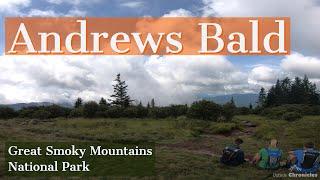 Andrews Bald  - Great Smoky Mountains National Park