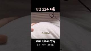 임신 22주 태동 아빠가 부르면 움직이는 아기 #임신22주 #태동 #임산부브이로그 #임신브이로그