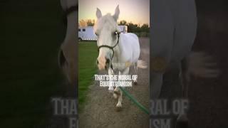 That’s the moral of equestrianism ️as an equine who has ridden for 8 years, we all make mistakes!