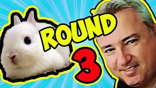 Tom Rabbittt vs Otangelo (Round 3)