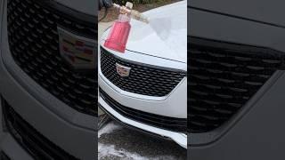 Cadillac detail #Shorts #Viral #Trending #ASMR #Satisfying #Detailing #Clean #CarWash #CarWash  #RAD