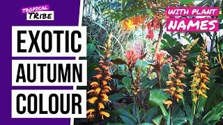 Autumn flowering plants in a tropical style garden | Tropical Tribe