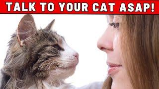 If You Start Meowing at Your Cat, THIS Will Happen - YOU NEED TO DO THIS!