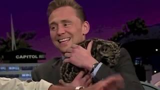 animals loving tom hiddleston for 1 minute straight