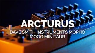 Arcturus | Ambient Moog Minitaur + Dave Smith Instruments Mopho