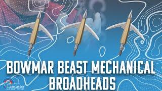 Bowmar Beast Broadheads