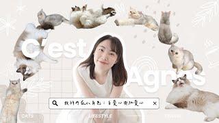 心理諮商小故事認識了兩隻內在小角色️｜C’est Agnes - Ag小日常 ◡̈