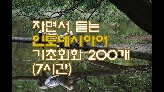 (자면서 듣는) 인도네시아어 기초회화 필수 패턴 200개 (7시간)