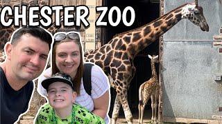 Chester Zoo 2024