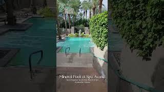 Mineral Pool at Spa Avania at The Hyatt Regency Scottsdale || Scottsdale, Arizona