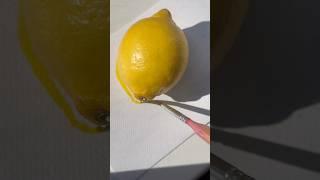 Draw a lemon  #shorts #artworks #artist #watercolourist #tutorialart