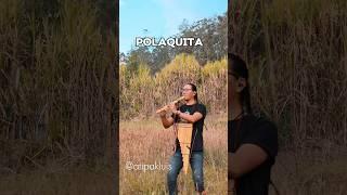 Polaquita Sanjuanito#musica #ecuador #feed #musicatradicional #musicatradicional #nature