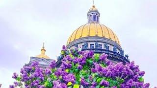 Храмы. Главные доминанты Санкт-Петербурга