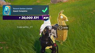 Search Golden Llamas Fortnite