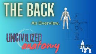 Uncivilized Anatomy Back Musculature Overview