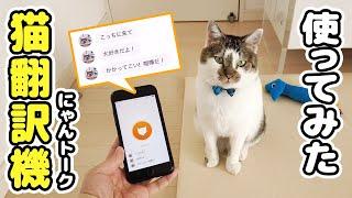 I tried to stick to my cat for half a day using a cat translator [Nyan Talk]