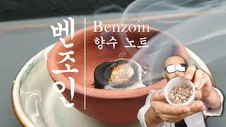 따뜻하고 편안한  느낌을 주는 오리엔탈 향수 노트 : 벤조인(benzoin) [향기연구소]