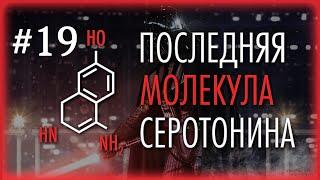 Ковальков в гостях у Дзидзарии. Глубокая аналитика. Правда и не совсем правда | ПМС #19