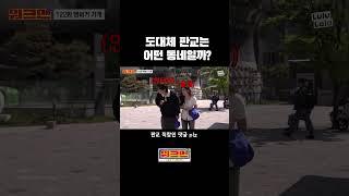 내향인이 제일 많은 동네