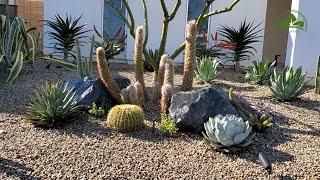 Desert Landscape Project in 2 days! (Gravel, Boulders, Plants, Irrigation, and lighting!)