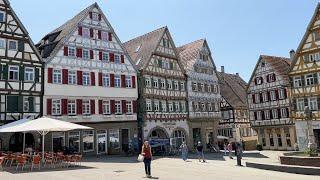 Tour of impressive medieval old town, market square and collegiate church | Herrenberg, Germany 2023