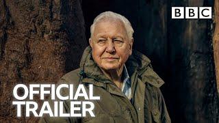 The Green Planet | Trailer  BBC