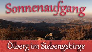 Wanderung auf den Ölberg im Siebengebirge zum Sonnenaufgang und Eidechsen am Stenzelberg