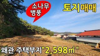 ⭕경북 칠곡 토지매매⭕  경북 칠곡군 왜관읍 아곡리 전망좋은 정남향 전원주택 신축부지  매매