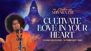 Thinking of Lord Shiva on Mahashivarathri Grants Divine Bliss | Sathya Sai Discourse - 14 Feb 1999