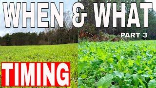 What Food Plots & When should You Plant Them!