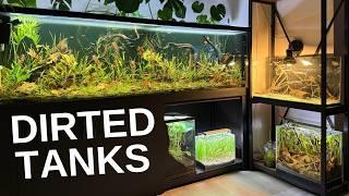 Fish Corner Tour! • I Bought Fish For All My Aquariums!