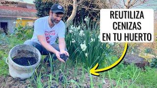 NO TIRES LA CENIZA DE TU ESTUFA O QUEMADOR: enmienda orgánica para huerto o jardín || en20metros