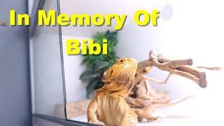 Rest In Paradise | Bibi Passed Away