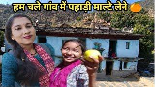 पहाड़ी खान पान।। पहाड़ी रसीले माल्टे।।।।Pahadi Lifestyle Vlogs।।Jyoti Vlogs।।@jyotivlogs8495