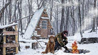 BRAVING A WINTER SNOWSTORM at the Cabin with my Dog!