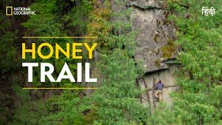 Honey Trail | Primal Survivor | हिन्दी | Full Episode | S1 - E1 | National Geographic