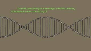 Introduction to Barcoding