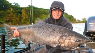 Harbor Fishing for King Salmon! Beach Camping (Catch & Cook)