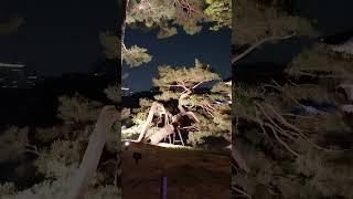 경복궁 궁중문화축제 향원정