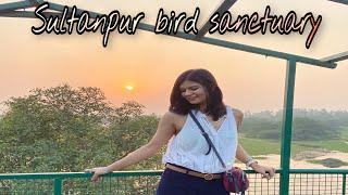 Sultanpur National Park vlog || lover’s spot 