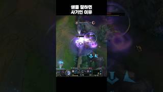 쉔 1등이 돌아왔다