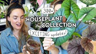 Stuff's HAPPENING. October Houseplant Updates 